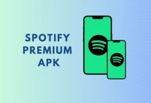what-is-spotify-premium-apk