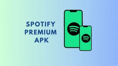 what-is-spotify-premium-apk