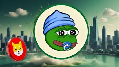 2-meme-coins-on-track-for-10x-growth-before-shiba-inu-(shib)-in-2025