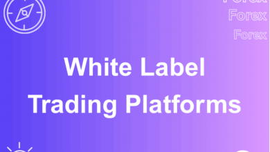 the-new-broker’s-playbook:-2025’s-top-forex-white-label-solutions