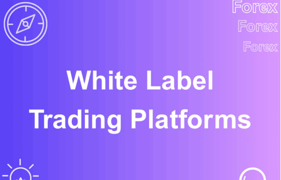 the-new-broker’s-playbook:-2025’s-top-forex-white-label-solutions