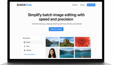 bulkedit.tools-review:-simplify-batch-image-editing-with-speed-and-precision